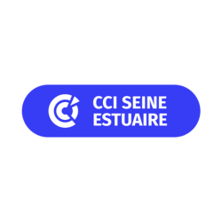 cci logo carrré